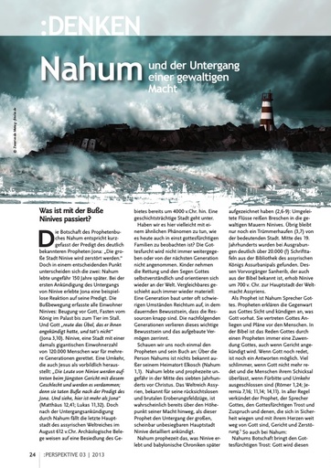 Perspektive 2013 03 nahum