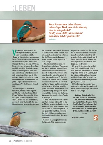 Perspektive 2008 07 der eisvogel