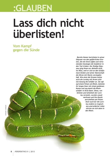 Perspektive 2013 01 lass dich nicht ueberlisten