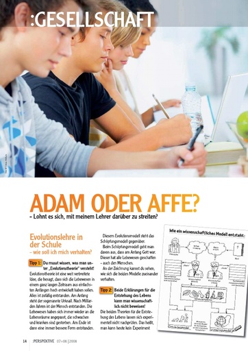 Perspektive 2008 07 adam oder affe