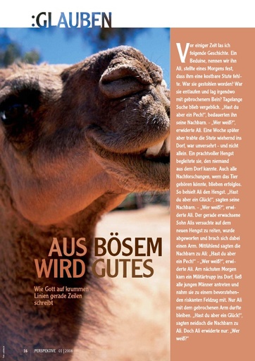 Perspektive 2008 01 aus boesem wird gutes