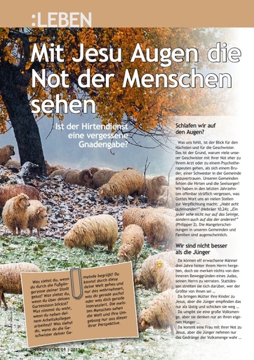 Perspektive 2013 01 mit jesu augen die not der menschen sehen