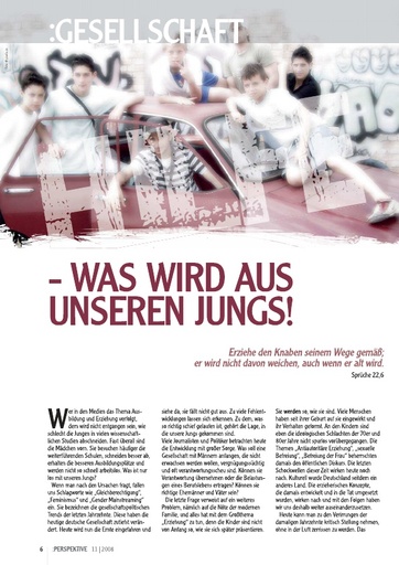 Perspektive 2008 11 hilfe was wird aus unseren jungs