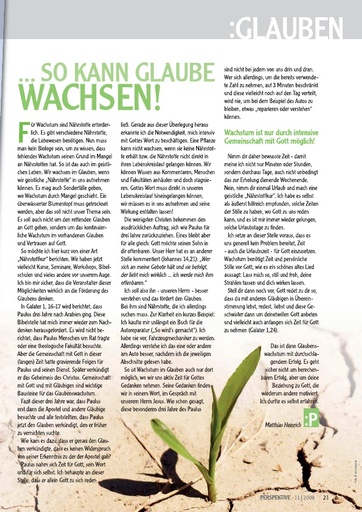 Perspektive 2008 11 so kann glaube wachsen
