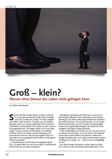 Perspektive 2015 03 gross klein