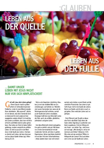 Perspektive 2009 01 leben aus der quelle