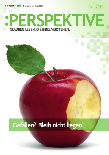 Perspektive 2015 04 komplett