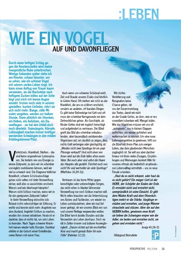 Perspektive 2008 09 wie ein vogel