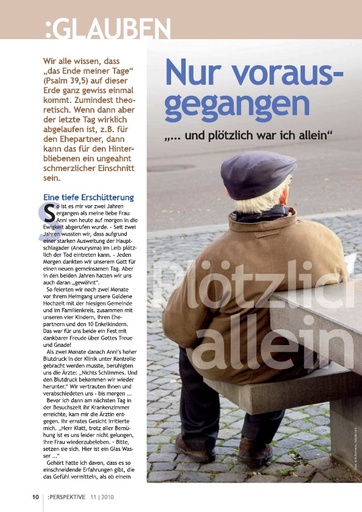 Perspektive 2010 11 nur vorausgegangen