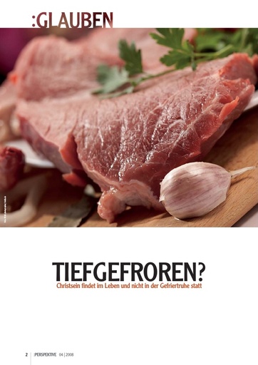 Perspektive 2008 04 tiefgefroren