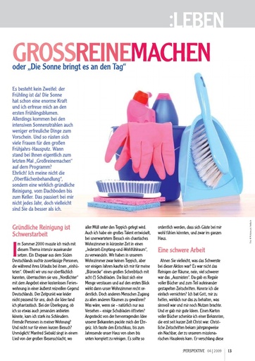 Perspektive 2009 04 grossreinemachen