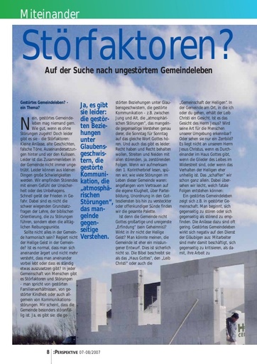 Perspektive 2007 07 stoerfaktoren