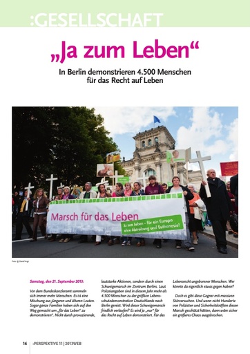 Perspektive 2013 11 ja zum leben
