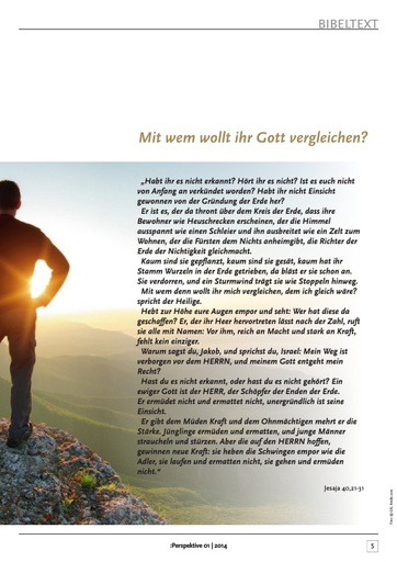 Perspektive 2014 01 komplett