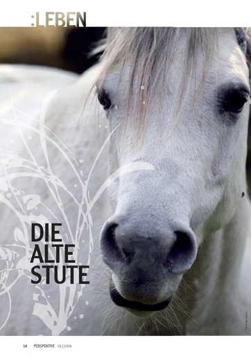 Perspektive 2008 03 die alte stute