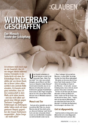 Perspektive 2008 07 wunderbar geschaffen