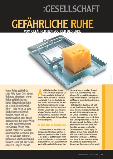 Perspektive 2009 07 gefaehrliche ruhe