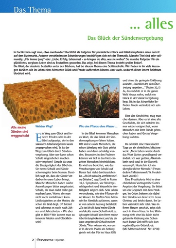 Perspektive 2005 11 alles weg