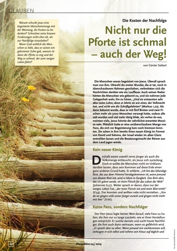 Perspektive 2014 04 nicht nur die pforte ist schmal auch der weg