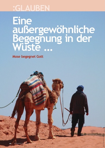 Perspektive 2012 07 eine aussergewoehnliche begegnung in der wueste