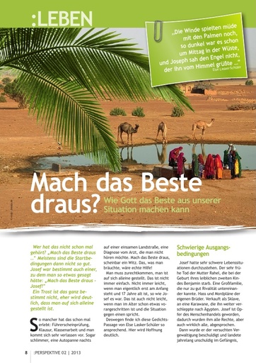 Perspektive 2013 02 mach das beste draus