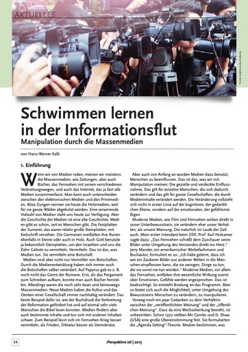 Perspektive 2015 06 schwimmen lernen in der informationsflut