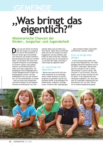 Perspektive 2012 01 was bringt das eigentlich
