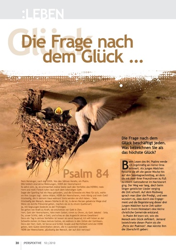 Perspektive 2010 10 die frage nach dem glueck