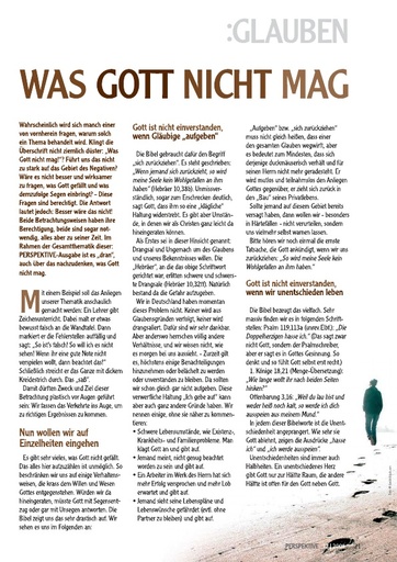 Perspektive 2008 12 was gott nicht mag