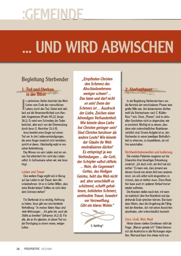 Perspektive 2008 03 und wird abwischen alle traenen