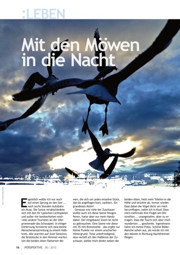 Perspektive 2012 06 mit den moewen in die nacht