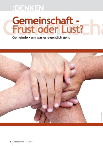 Perspektive 2010 11 gemeinschaft frust oder lust