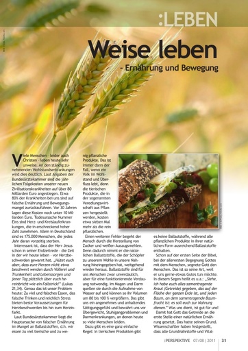 Perspektive 2011 07 weise leben