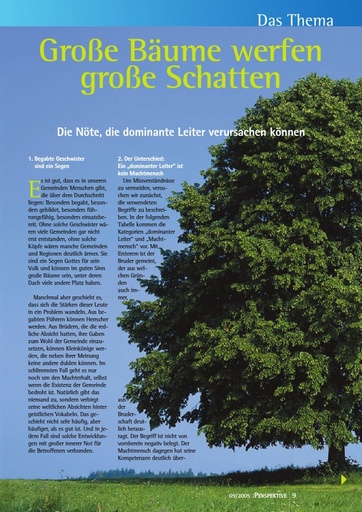 Perspektive 2005 09 grosse baeume werfen grosse schatten