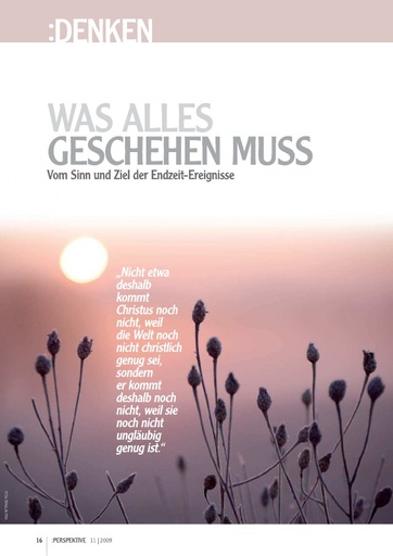 Perspektive 2009 11 was alles geschehen muss