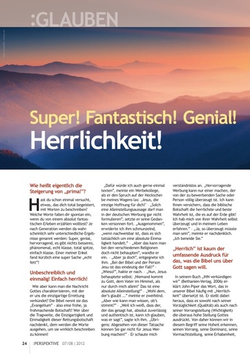 Perspektive 2012 07 herrlichkeit