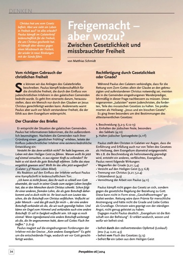 Perspektive 2014 06 freigemacht aber wozu