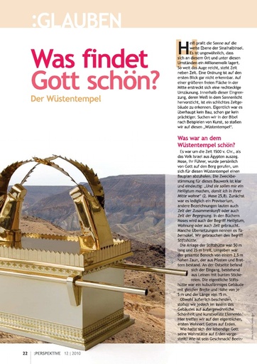 Perspektive 2010 12 was findet gott schoen