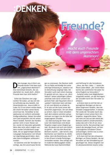Perspektive 2012 11 freunde