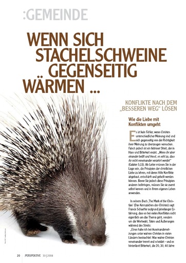 Perspektive 2008 10 wenn sich stachelschweine gegenseitig waermen