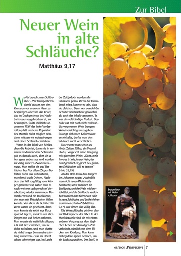 Perspektive 2005 05 neuer wein in alte schlaeuche