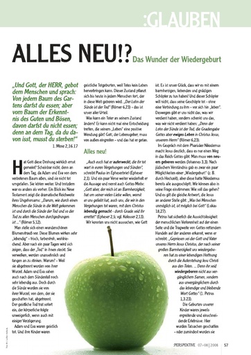 Perspektive 2008 07 alles neu