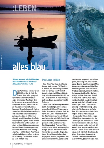 Perspektive 2009 07 alles blau