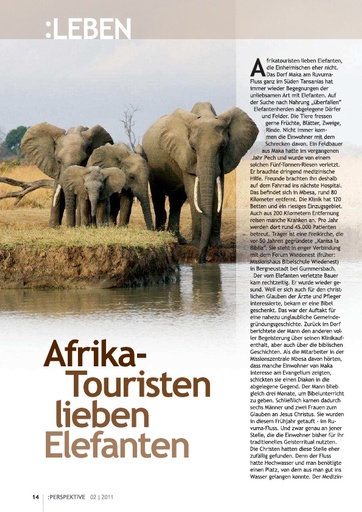 Perspektive 2011 02 afrikatouristen lieben elefanten