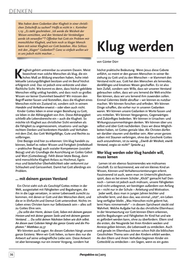 Perspektive 2015 02 klug werden