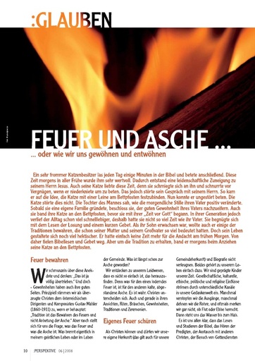 Perspektive 2008 06 feuer und asche