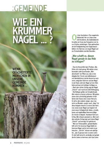 Perspektive 2008 09 wie ein krummer nagel