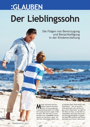 Perspektive 2013 02 komplett