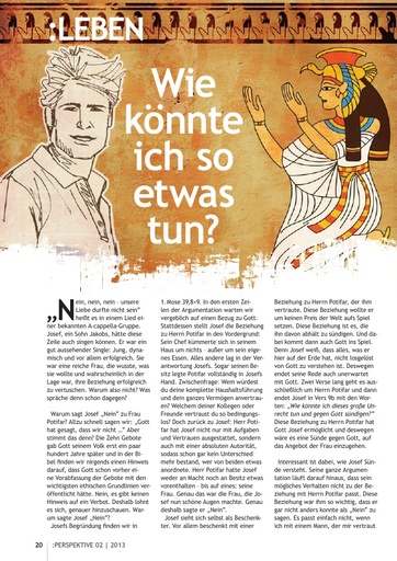 Perspektive 2013 02 wie koennte ich so etwas tun