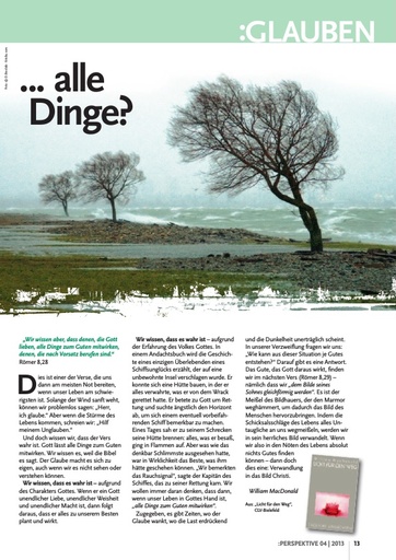Perspektive 2013 04 alle dinge